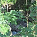 IMG_0024