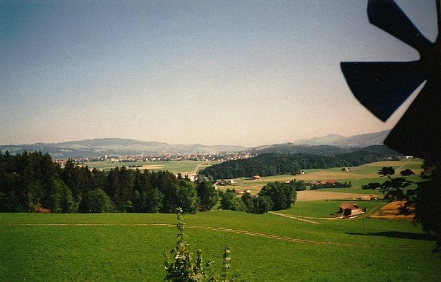 24
