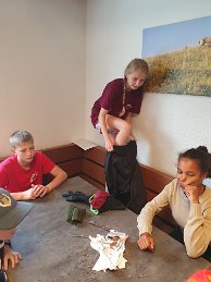 IMG-20230713-WA0001